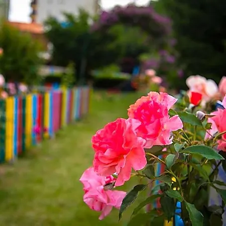 Park Perla 3* Варна